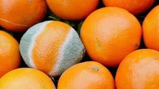 中国十大经典名画 每一幅都是谁人朝代的缩影‘suncitygroup太阳成集团’(图3) 太阳成官网