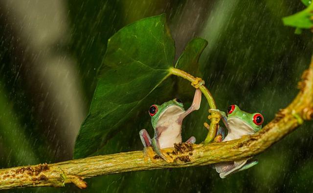 ‘太阳成集团tyc’六个品牌形象宣传片筹谋文案的要求(图2) 太阳成集团tyc