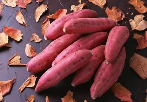 suncitygroup太阳成集团