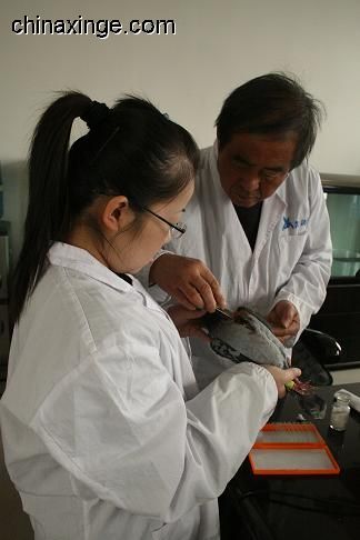 日清官方搞基!兵卫乌冬给二郎拉面写情书_太阳成集团tyc(图1) suncitygroup太阳成集团