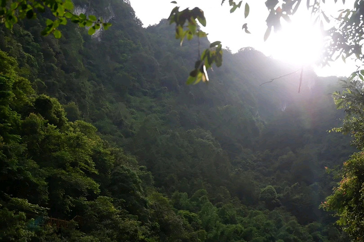 suncitygroup太阳成集团