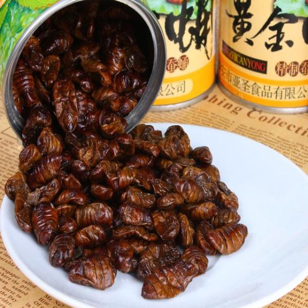 suncitygroup太阳成集团