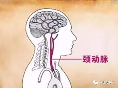 suncitygroup太阳成集团