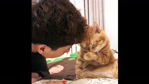 宣传海报如何制作?这款制图工具来帮你【太阳成集团tyc】(图2) suncitygroup太阳成集团