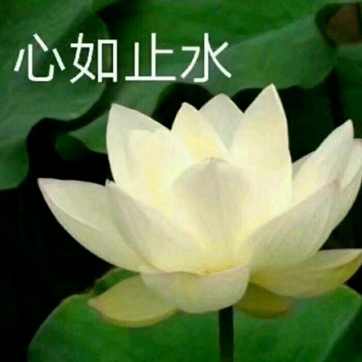 suncitygroup太阳成集团