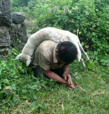 suncitygroup太阳成集团