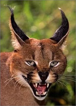 微视新功能内测,可拍30秒视频分享到朋友圈【太阳成官网】(图2) suncitygroup太阳成集团