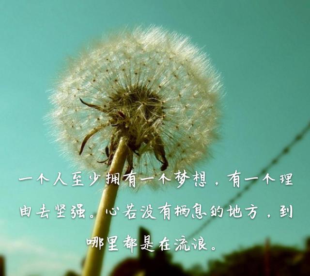 suncitygroup太阳成集团