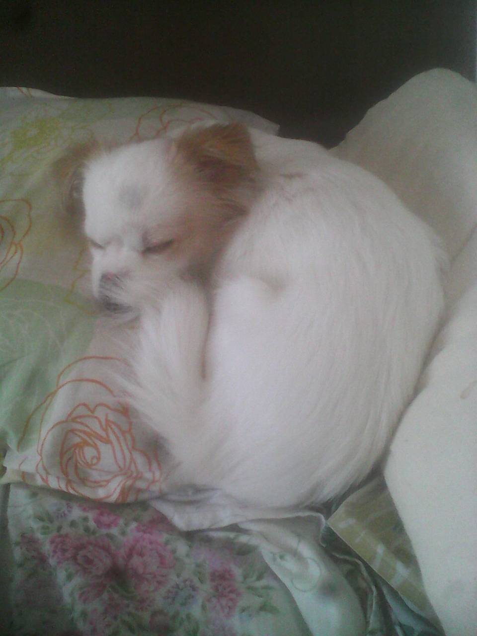 suncitygroup太阳成集团